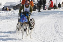 Lenk 2012 SM